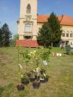 Dan Planeta Zemlje 2016 - Predmetna Nastava (3)