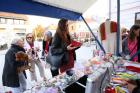 Stand_OSPribislavec_2017 (10)