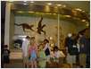 WASHINGTON-2007 (38)