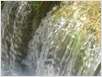 Plitvice (13)