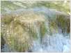 Plitvice (33)