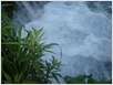 Plitvice (35)