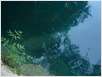 Plitvice (39)