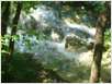Plitvice (6)