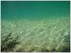 Plitvice (8)