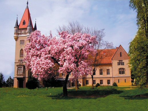 zgrada kole