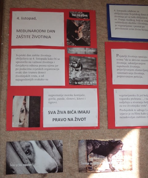 Dan zatite ivotinja
