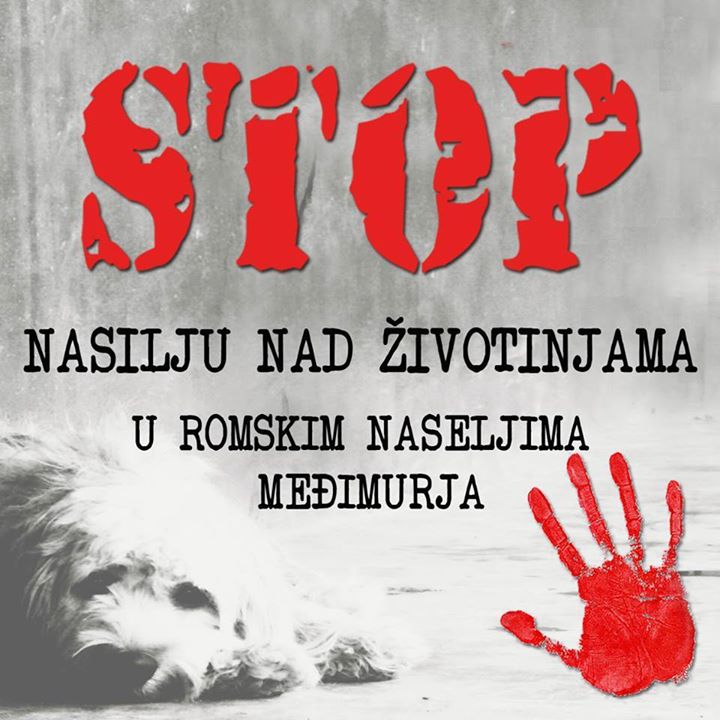 Stop nasilju nad ivotinjama