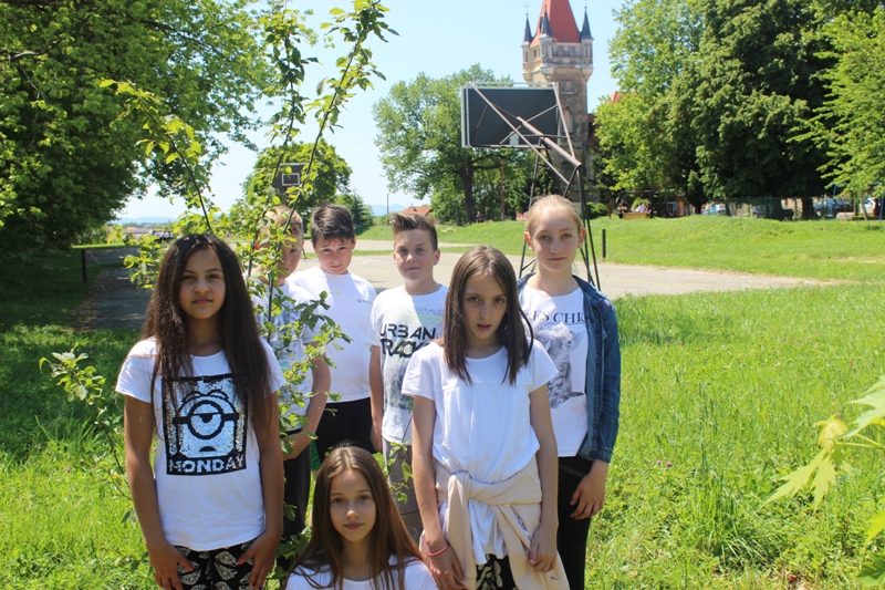 eTwinning tree - eTwinning stablo