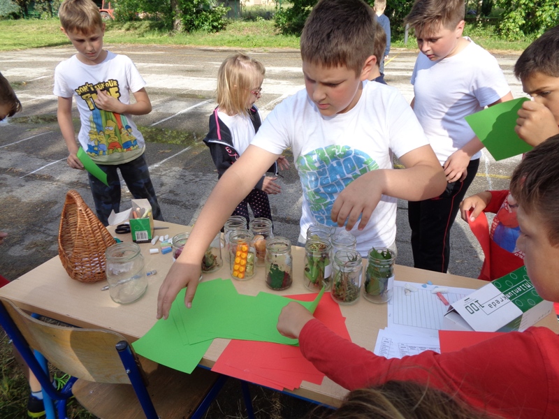 Outdoor Classroom Day Pribislavec