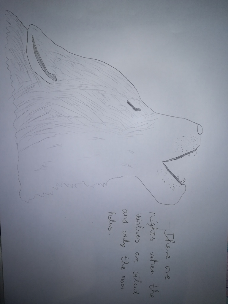 eTwinning projekt Little Defenders of the Earth