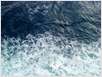 N1627304267_256532_6770806