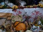 DaniKruha2010-11 (15)