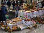 DaniKruha2010-11 (20)