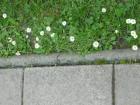 Dan-Planeta-Zemlje10