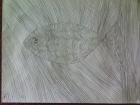 DSC00068