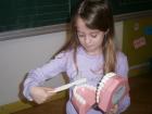 P2110482 (Small)