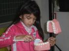 P2110483 (Small)