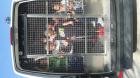 20160926_105349 (Medium)