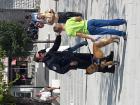 20160926_112645 (Medium)