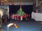 DSCN0385