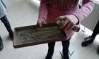 20170217_145646 (Medium)
