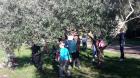 20171011_100708 (Medium)