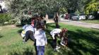 20171011_100754 (Medium)