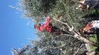20171011_101031 (Medium)