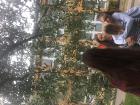 IMG_8465 (Medium)