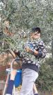 IMG-F81f454c477c70ecbce6de607ed1e4cd-V (Medium)
