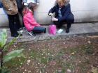 IMG_20171116_132420