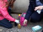 IMG_20171116_132621