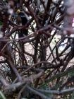 IMG_20171116_133059