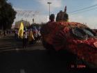 Karneval (20)
