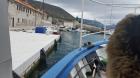 20160311_122737 (Medium)