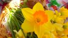 SAM_3578
