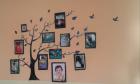 Detalj 6 Razred