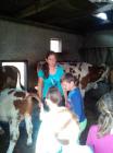 IMG-0a52e936b84b501894d2cd0530cfa8f5-V