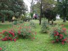 Park