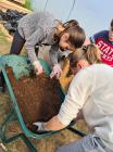 Plastenik16