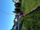 IMG00637-20121030-1411