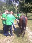 Samobor23.5.2011 229