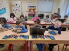 Riba Ribi Grize Rep (4)