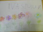 Naziv: Cvie
Autor: Iva Stura 1.R