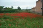 DSC00187