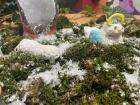 IMG-20211214-WA0027