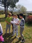 Salona (11)