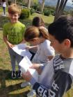 Salona (14)