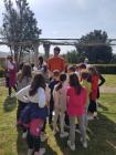 Salona (15)